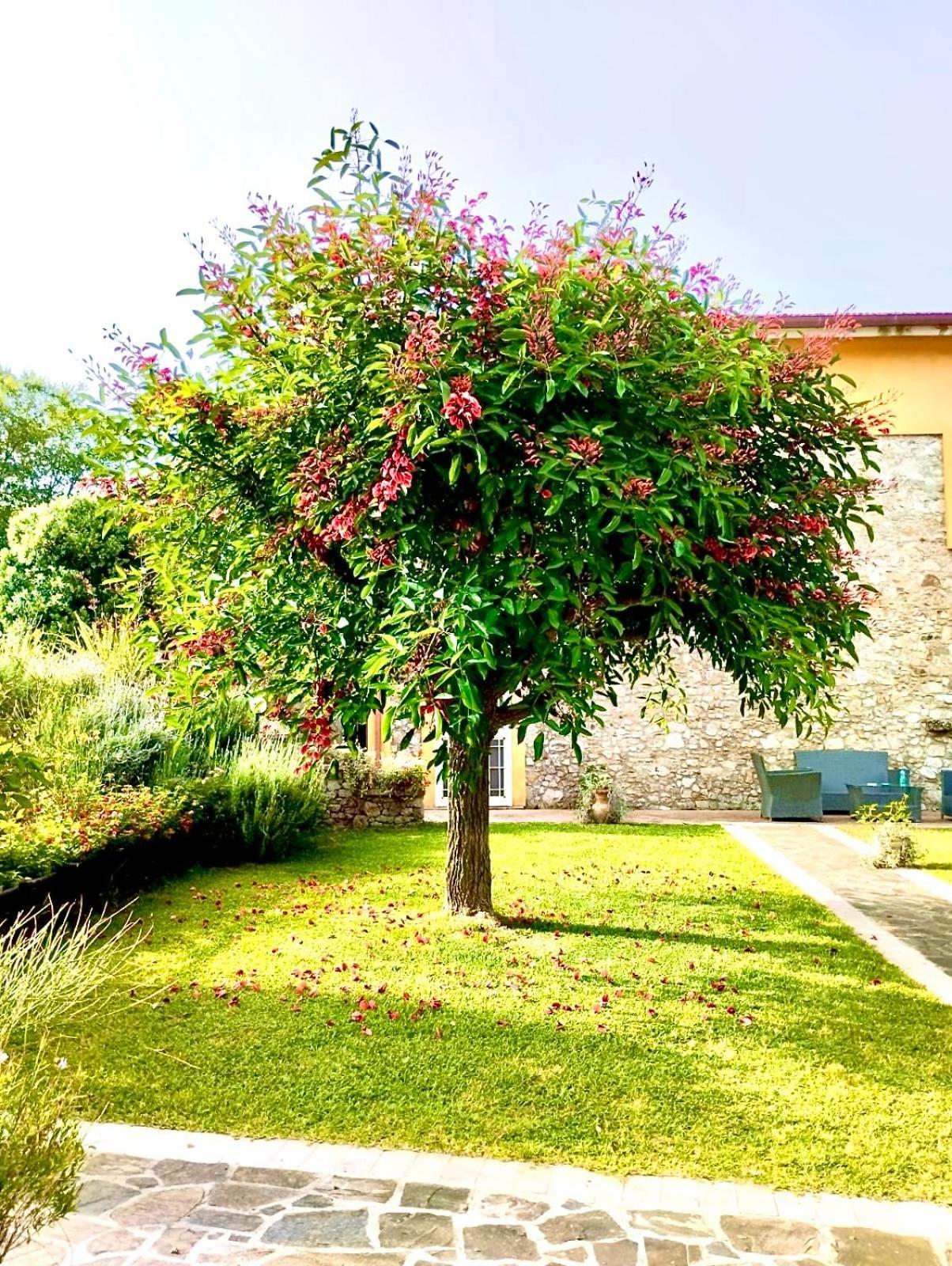 Appartement Country House Felicia à Giungano Extérieur photo